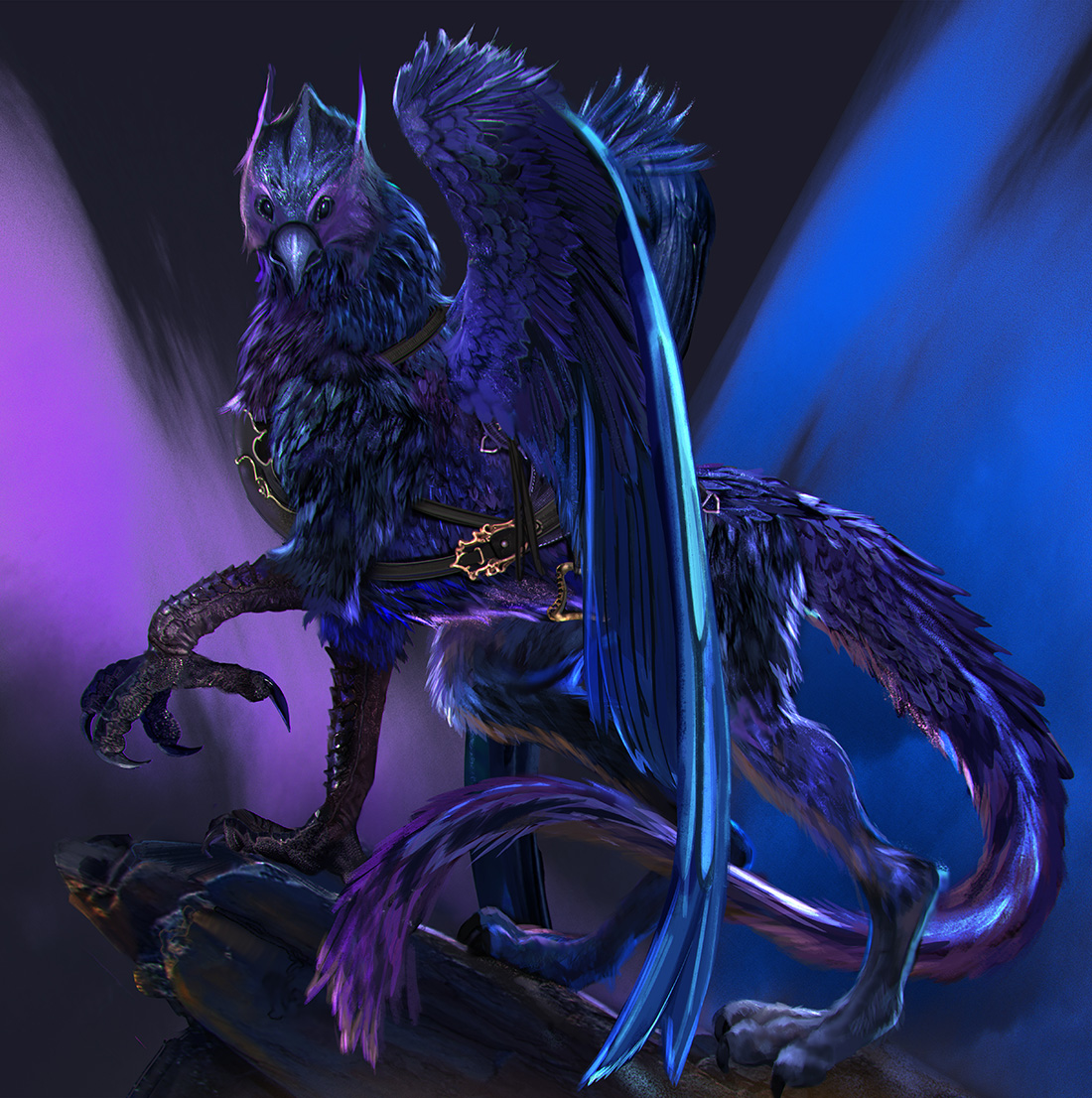 GRIFFON_epicframe